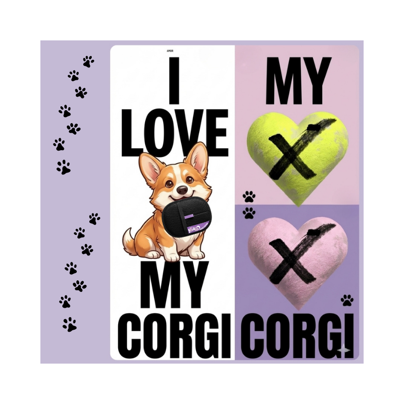 CORGI MAGIC Haarentferner Handschuh – 3-in-1 Fellpflege für Hund & Katze