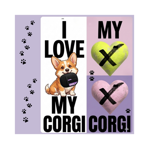 CORGI MAGIC Haarentferner Handschuh – 3-in-1 Fellpflege für Hund & Katze